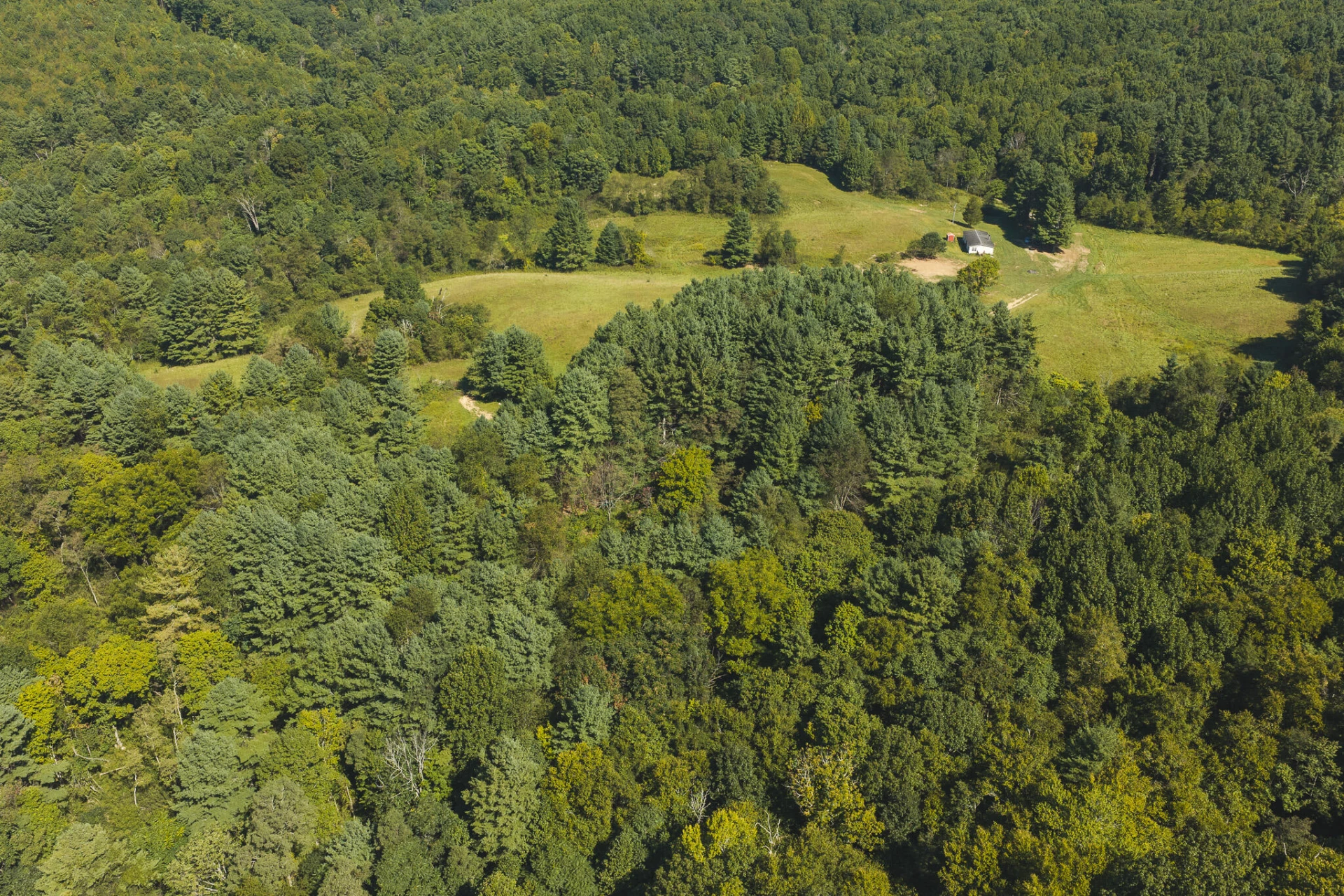 10568 Bottom Creek RD - Photo 23