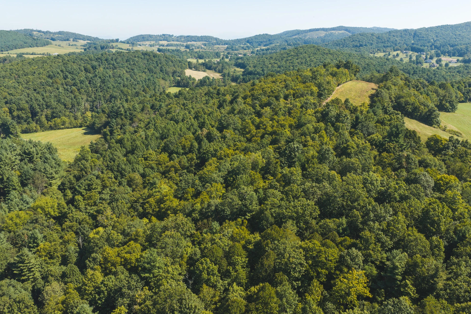 10568 Bottom Creek RD - Photo 24