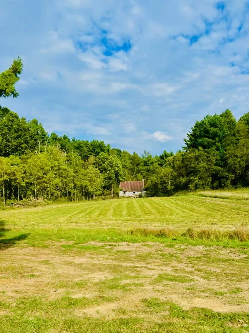 10568 Bottom Creek RD - Photo 25
