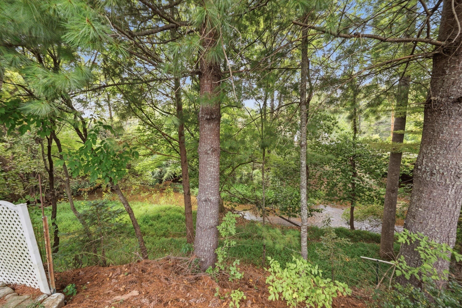 3180 Garst Cabin DR - Photo 26