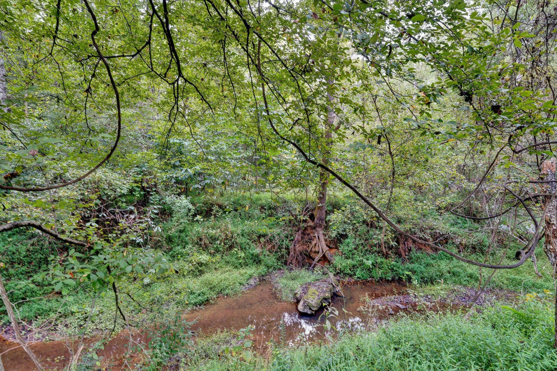 6200 GOODVIEW RD - Photo 34