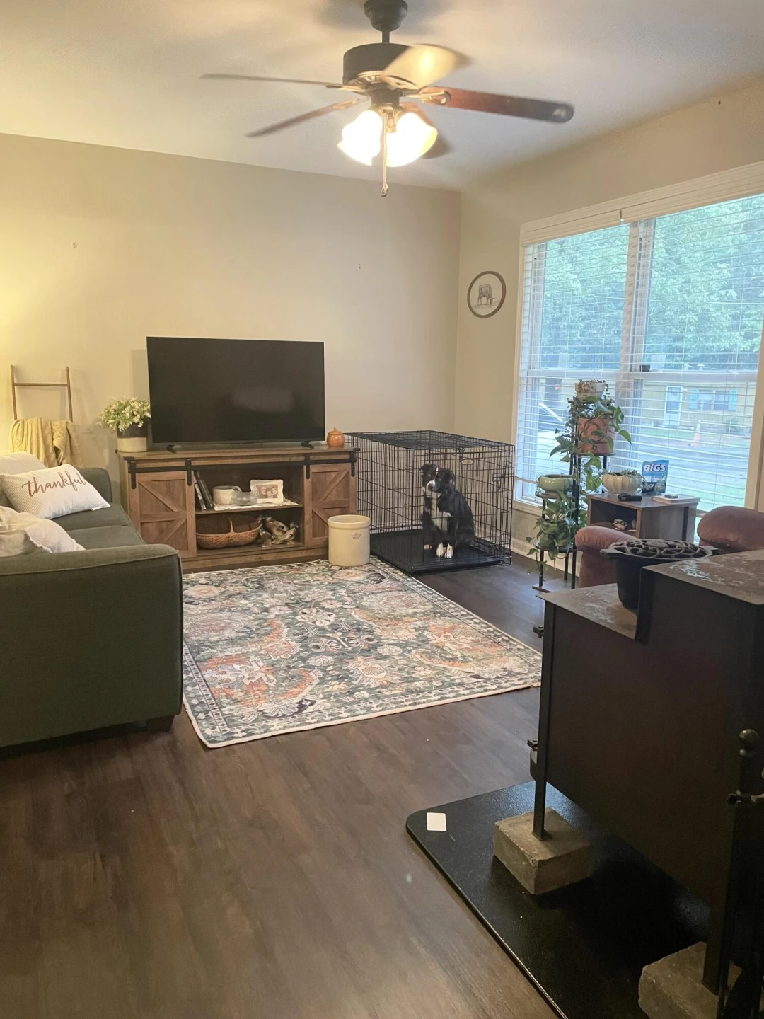 1167 Bruno DR - Photo 6