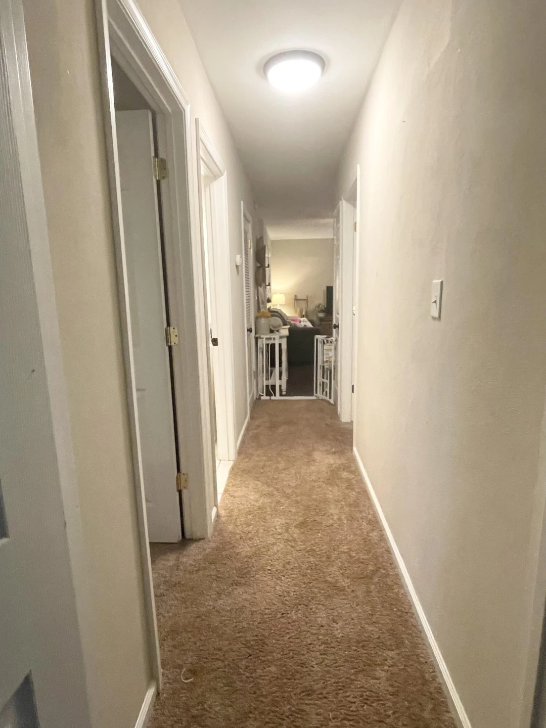 1167 Bruno DR - Photo 20