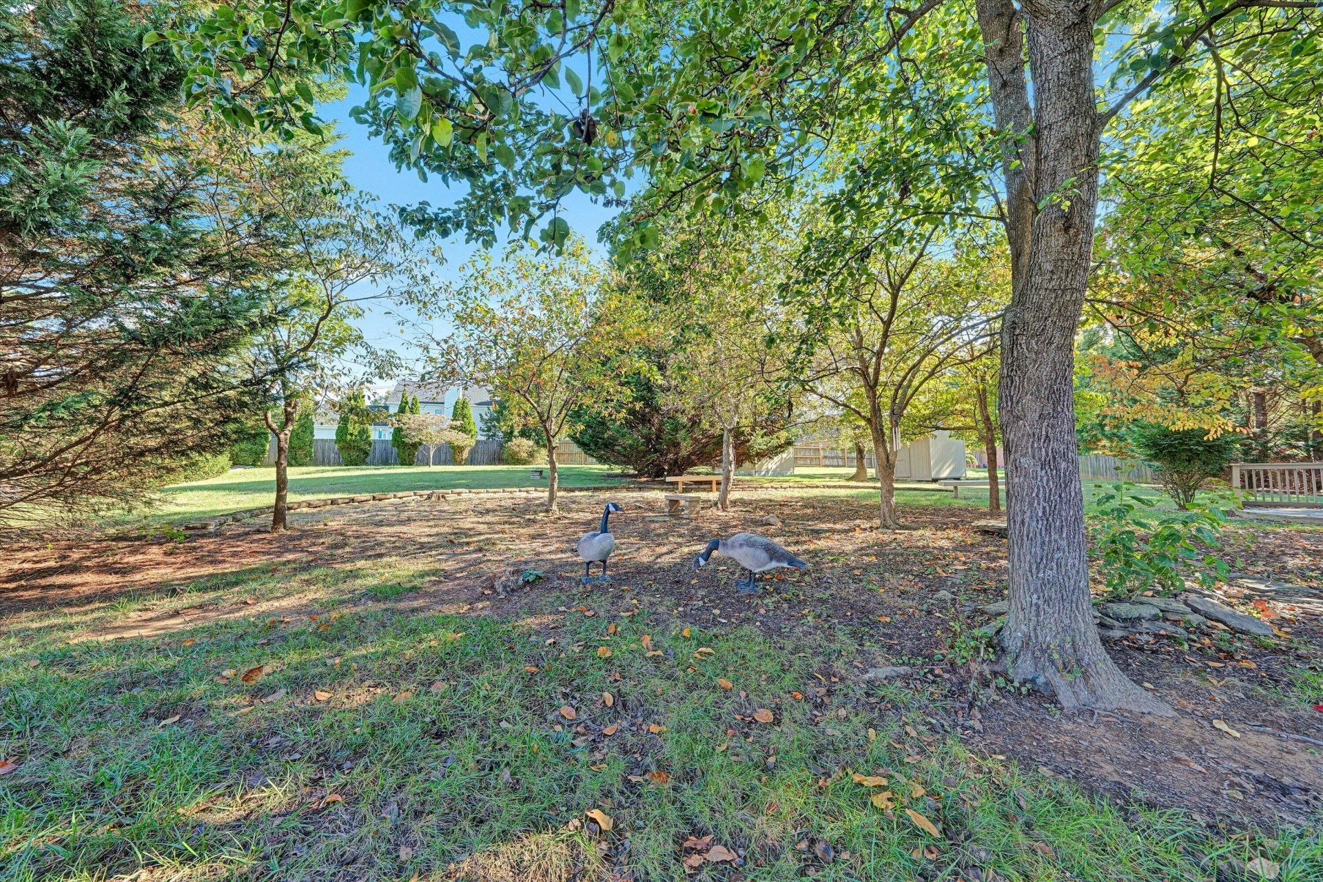 5232 Dresden LN - Photo 53