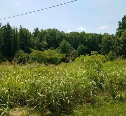 2374 Deyerle Knob RD