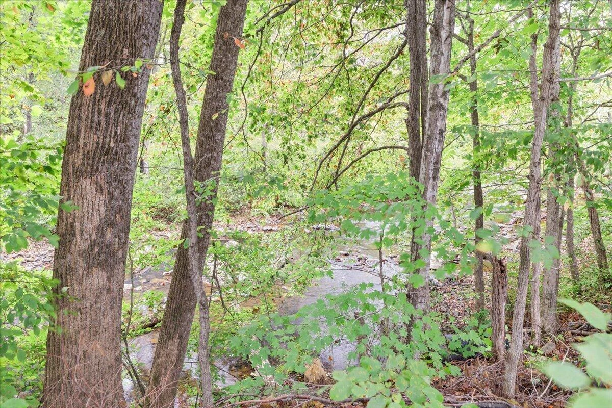 317 Craig Creek Estates DR - Photo 32