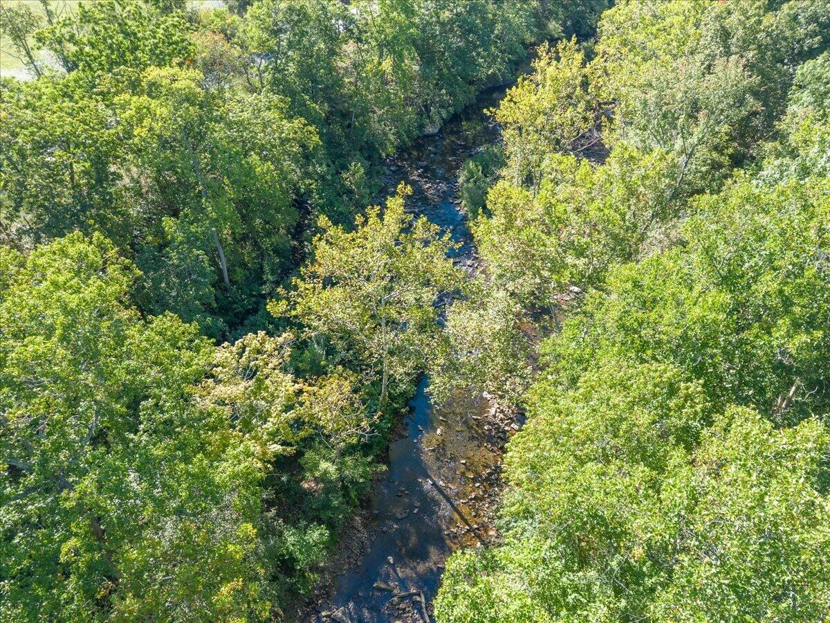 317 Craig Creek Estates DR - Photo 39