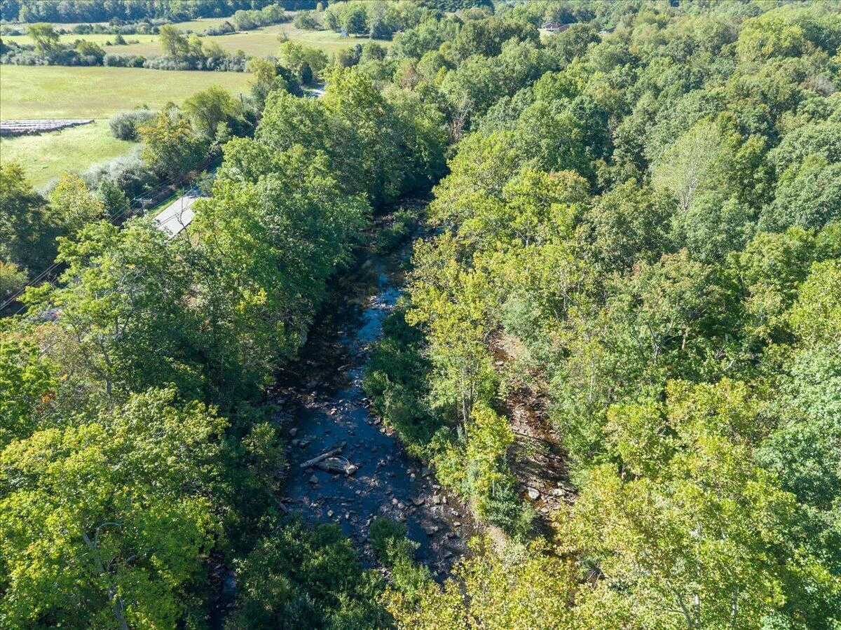 317 Craig Creek Estates DR - Photo 41