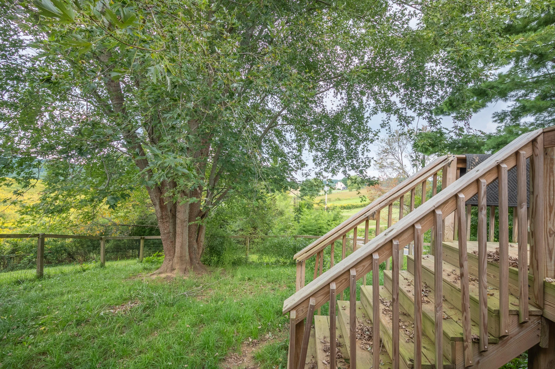 6782 Floyd N - Photo 51