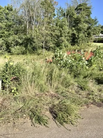 0 Valley RD, Hardy, VA, 24101