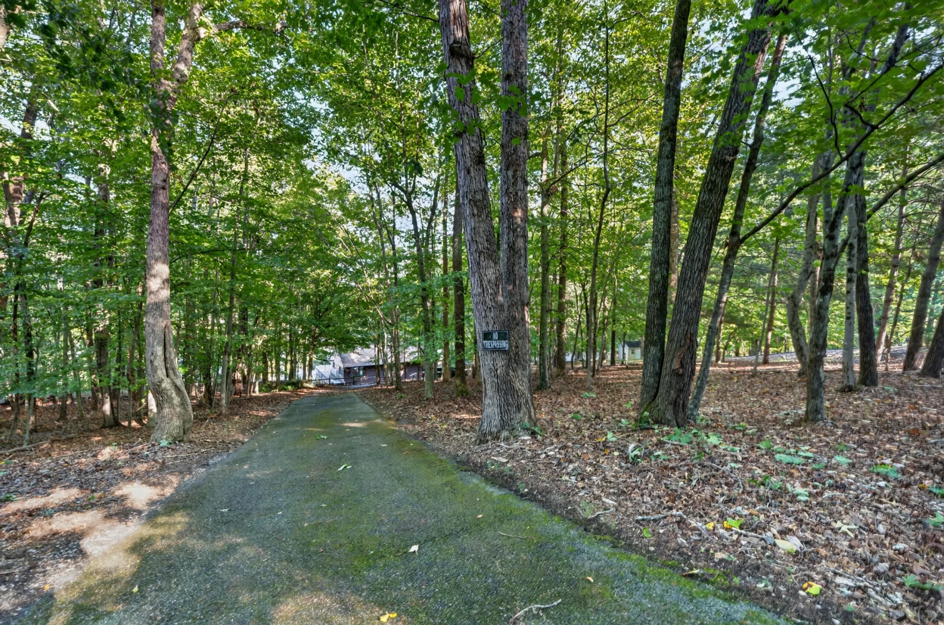 118 Creeden DR - Photo 58