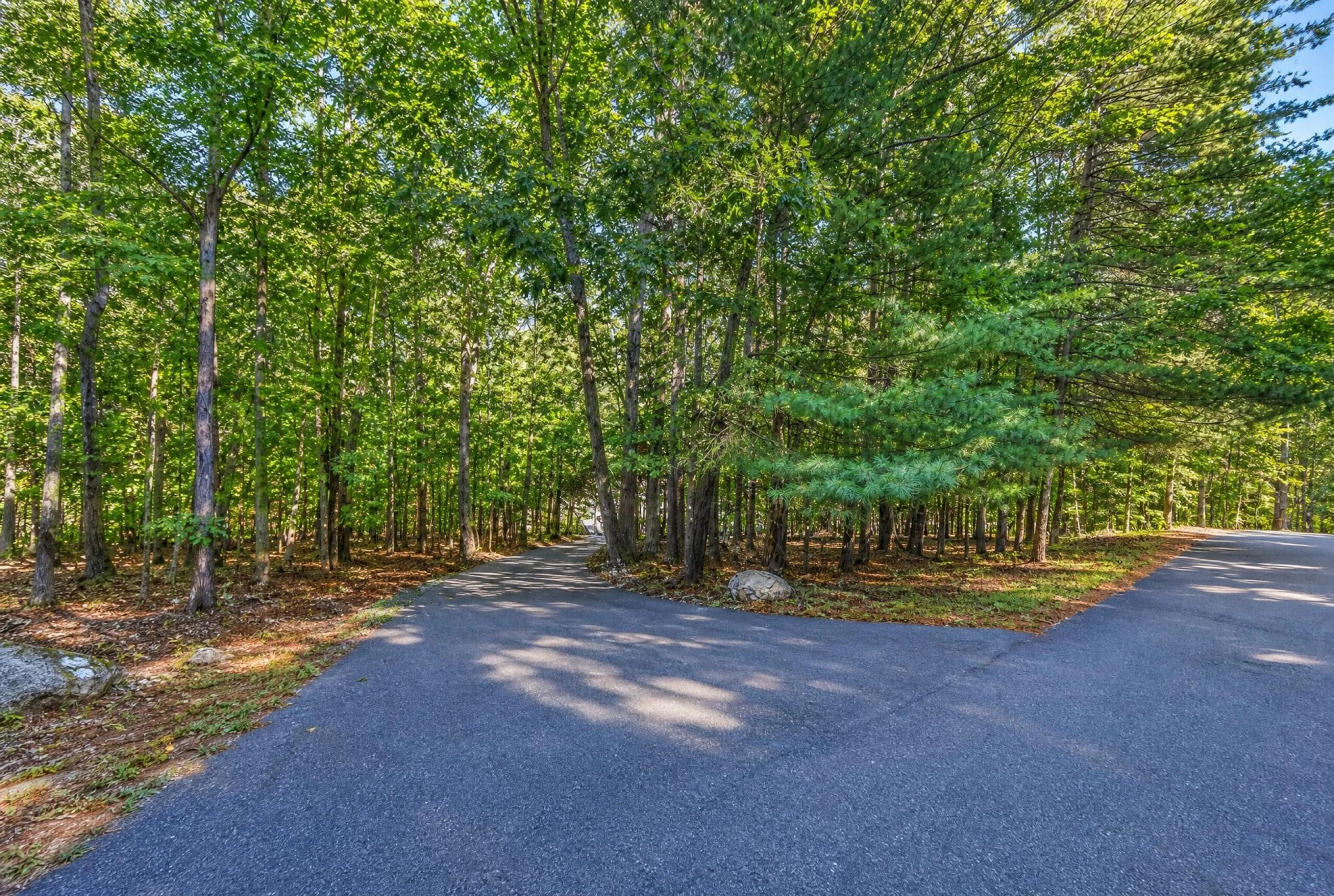 118 Creeden DR - Photo 59