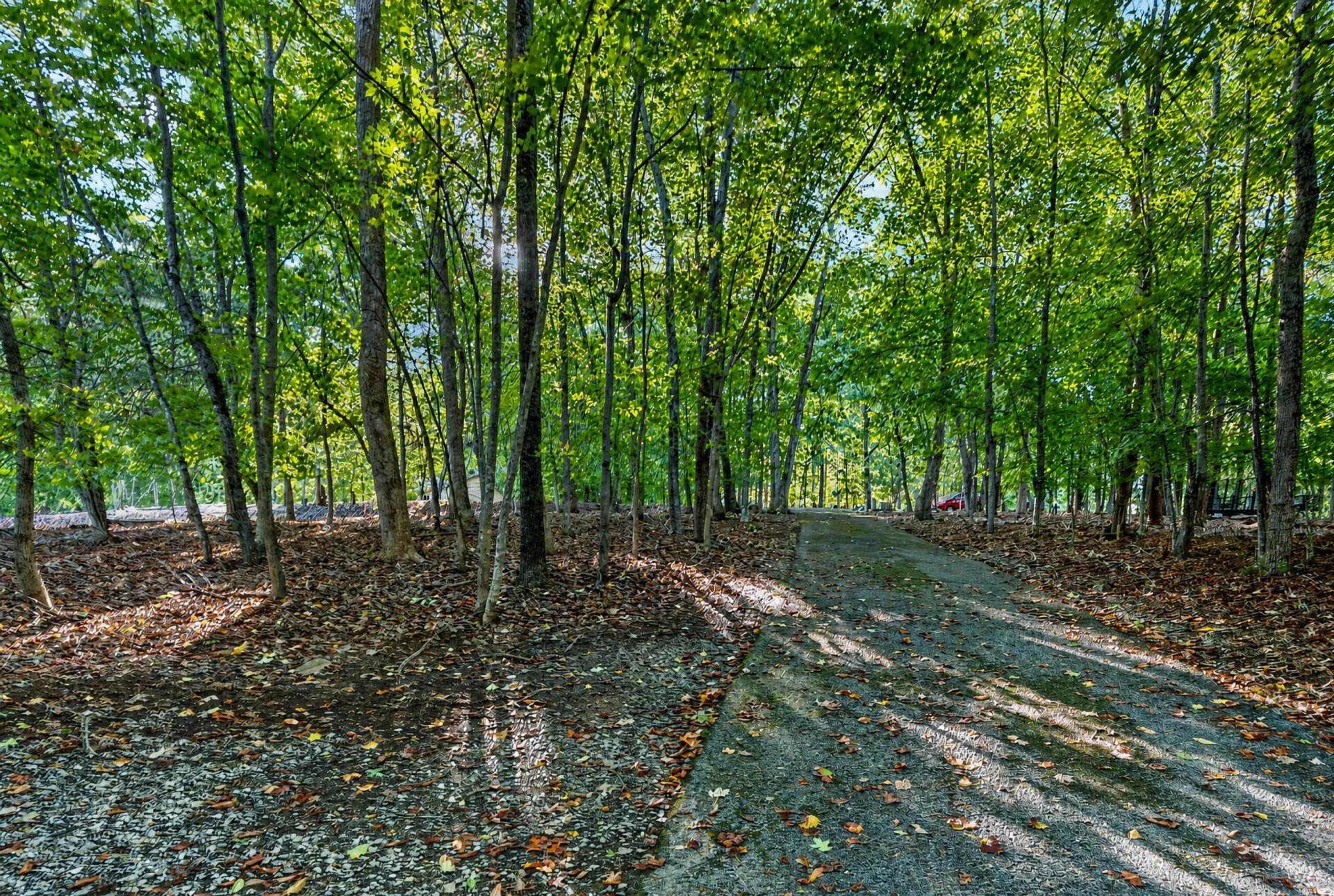 118 Creeden DR - Photo 60