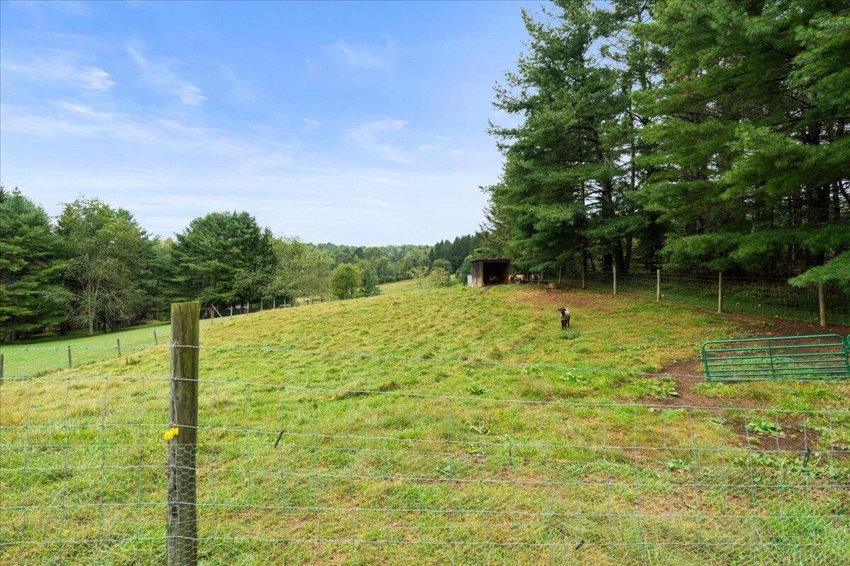 976 Coles Knob RD NE - Photo 18
