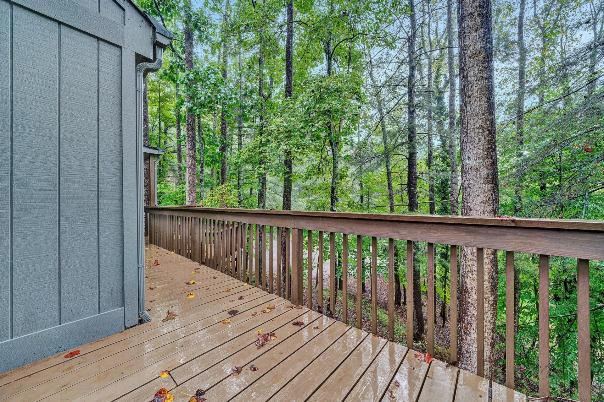 5793 Scenic Hills DR - Photo 3