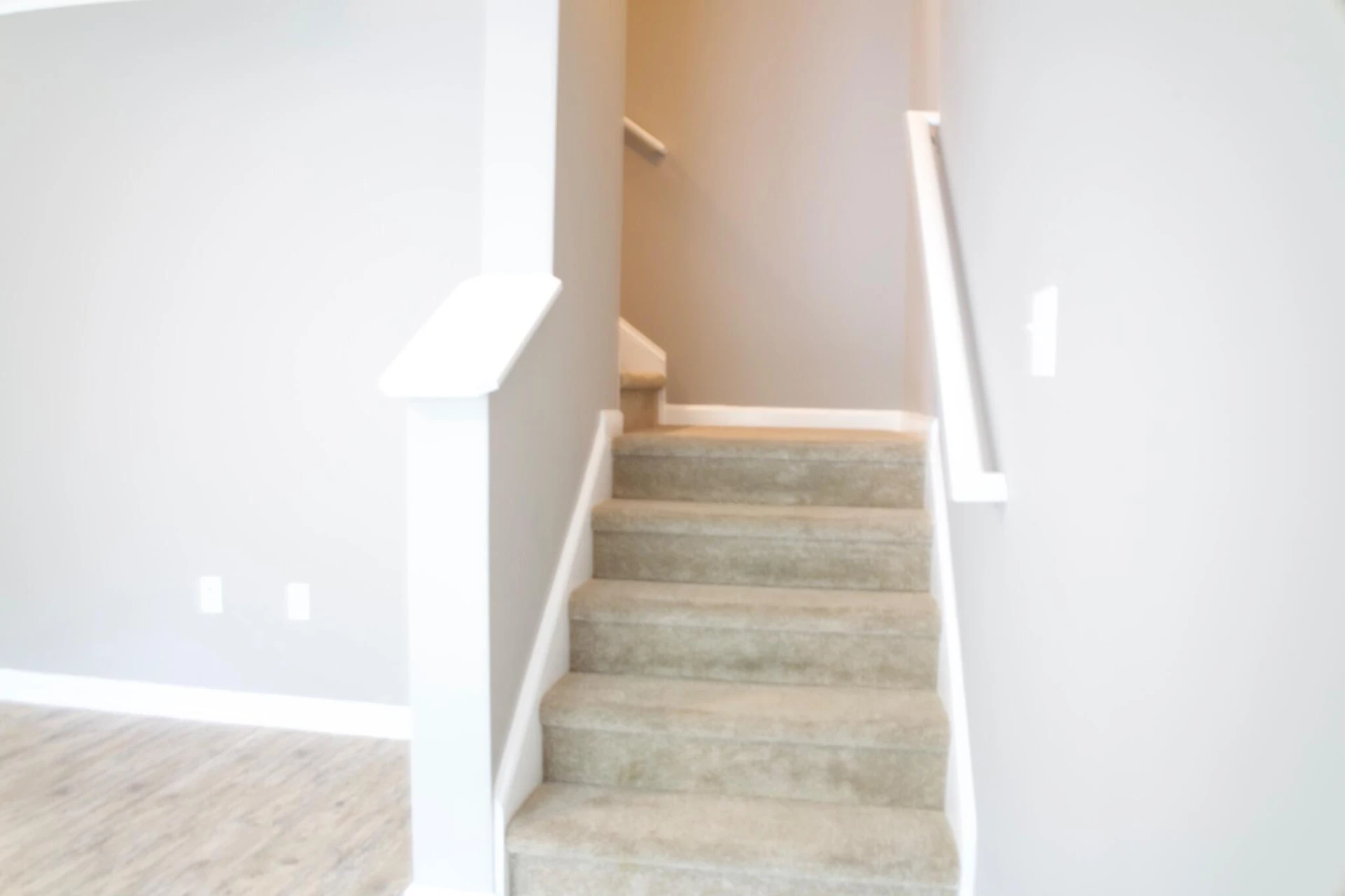 125 Squire CIR - Photo 12