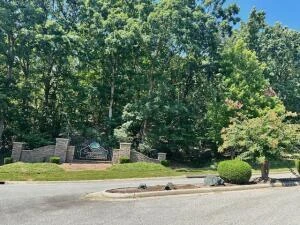 Lot 22 Summit Dr - Photo 2