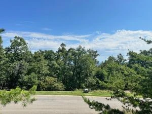 Lot 22 Summit Dr - Photo 4