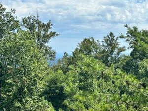 Lot 23 Summit DR - Photo 5