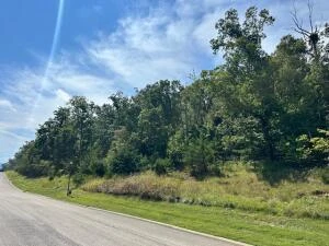 Lot 23 Summit DR - Photo 6