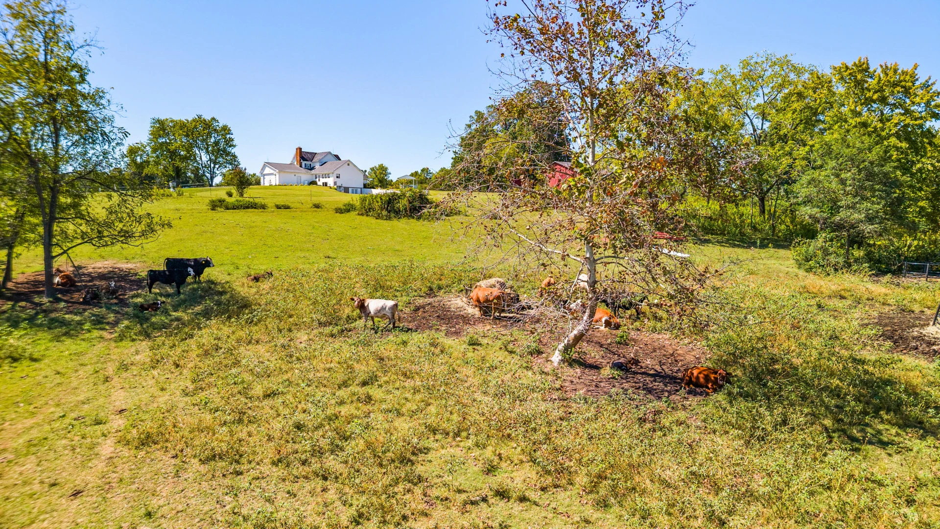 1864 Glenwood DR - Photo 27