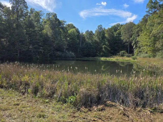 TBD Ferney Creek RD NW