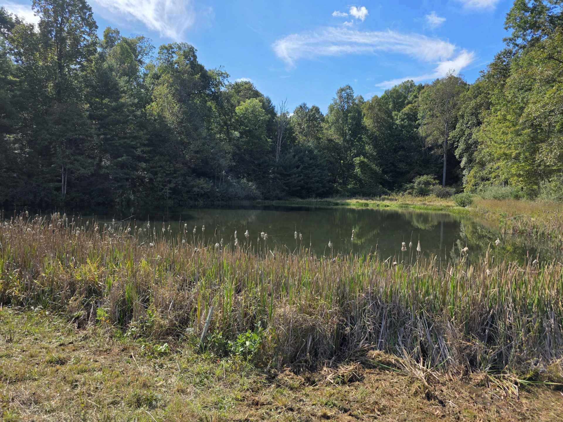 TBD Ferney Creek RD NW