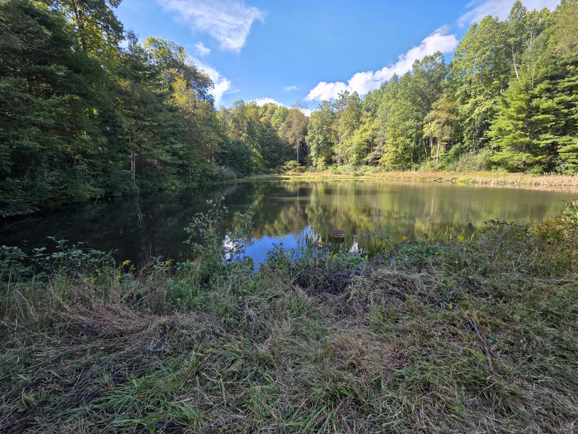 TBD Ferney Creek RD NW - Photo 7
