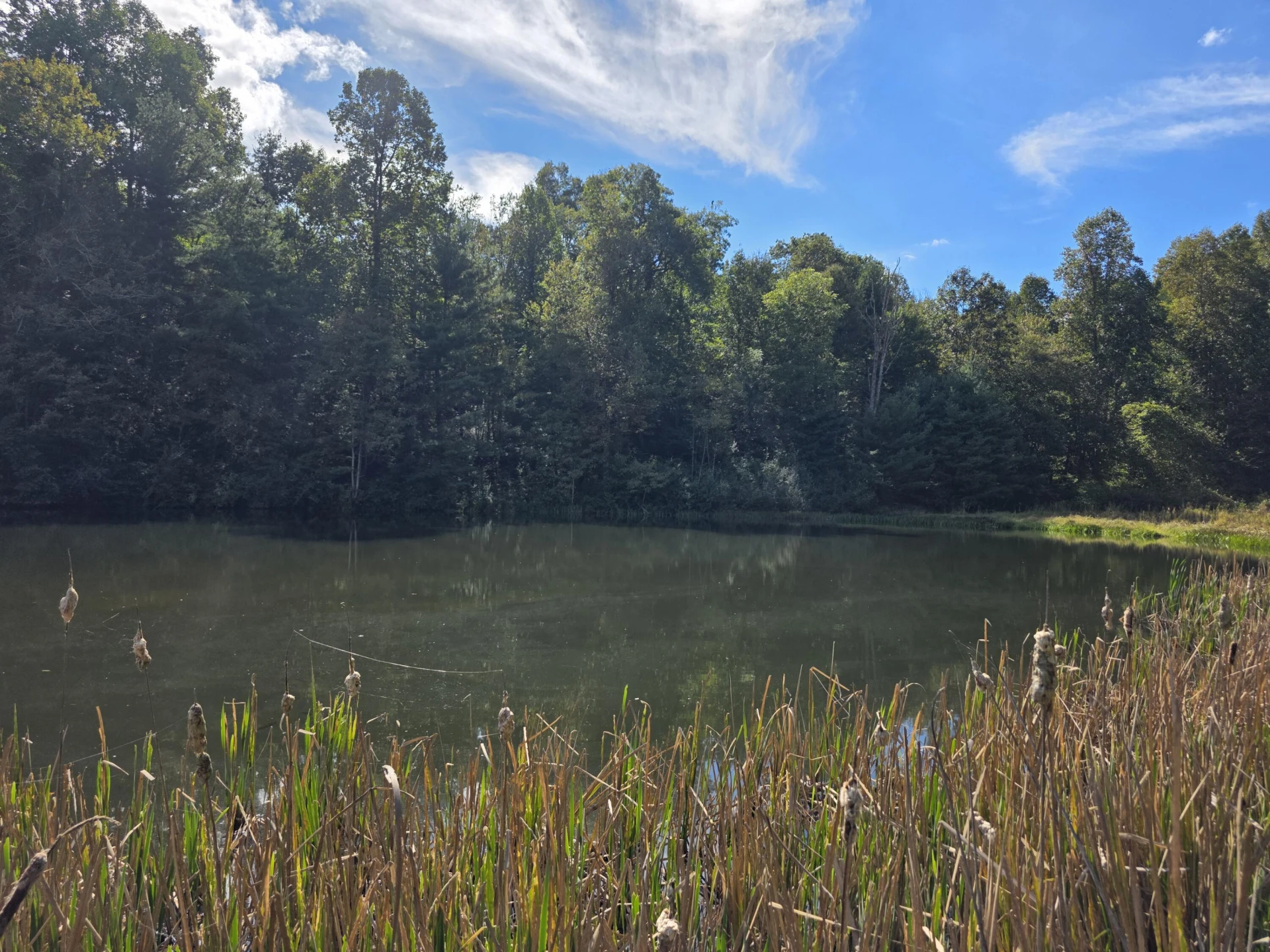 TBD Ferney Creek RD NW - Photo 12