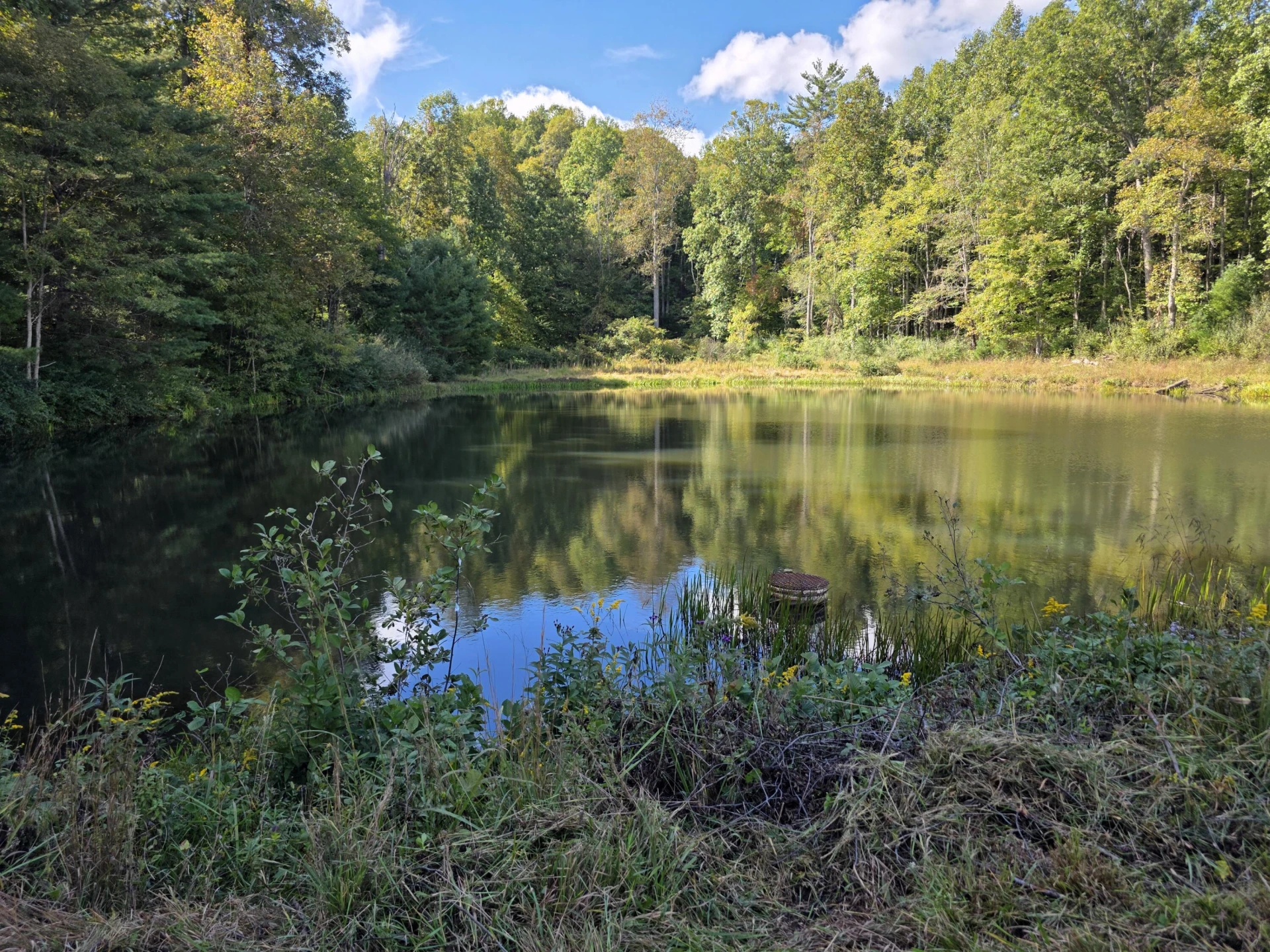TBD Ferney Creek RD NW - Photo 13