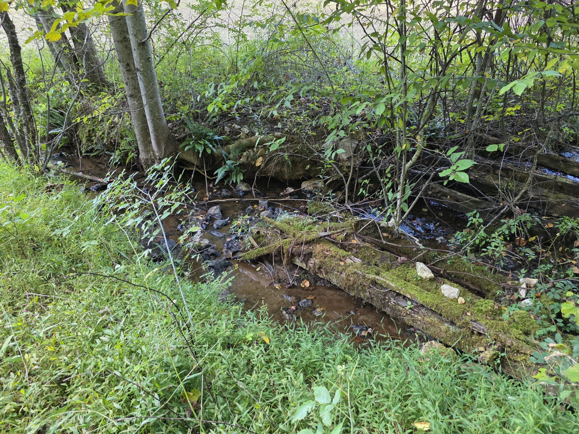 TBD Ferney Creek RD NW - Photo 37