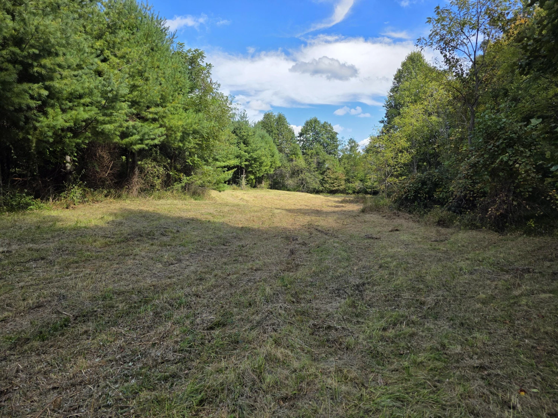 TBD Ferney Creek RD NW - Photo 38