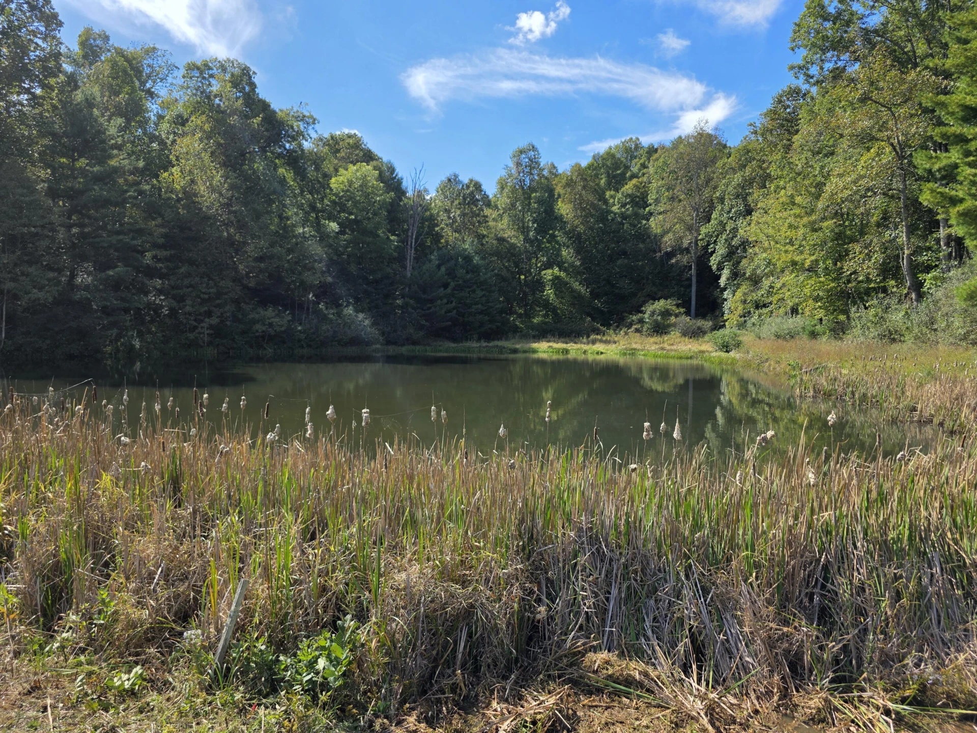 TBD Ferney Creek RD NW - Photo 39