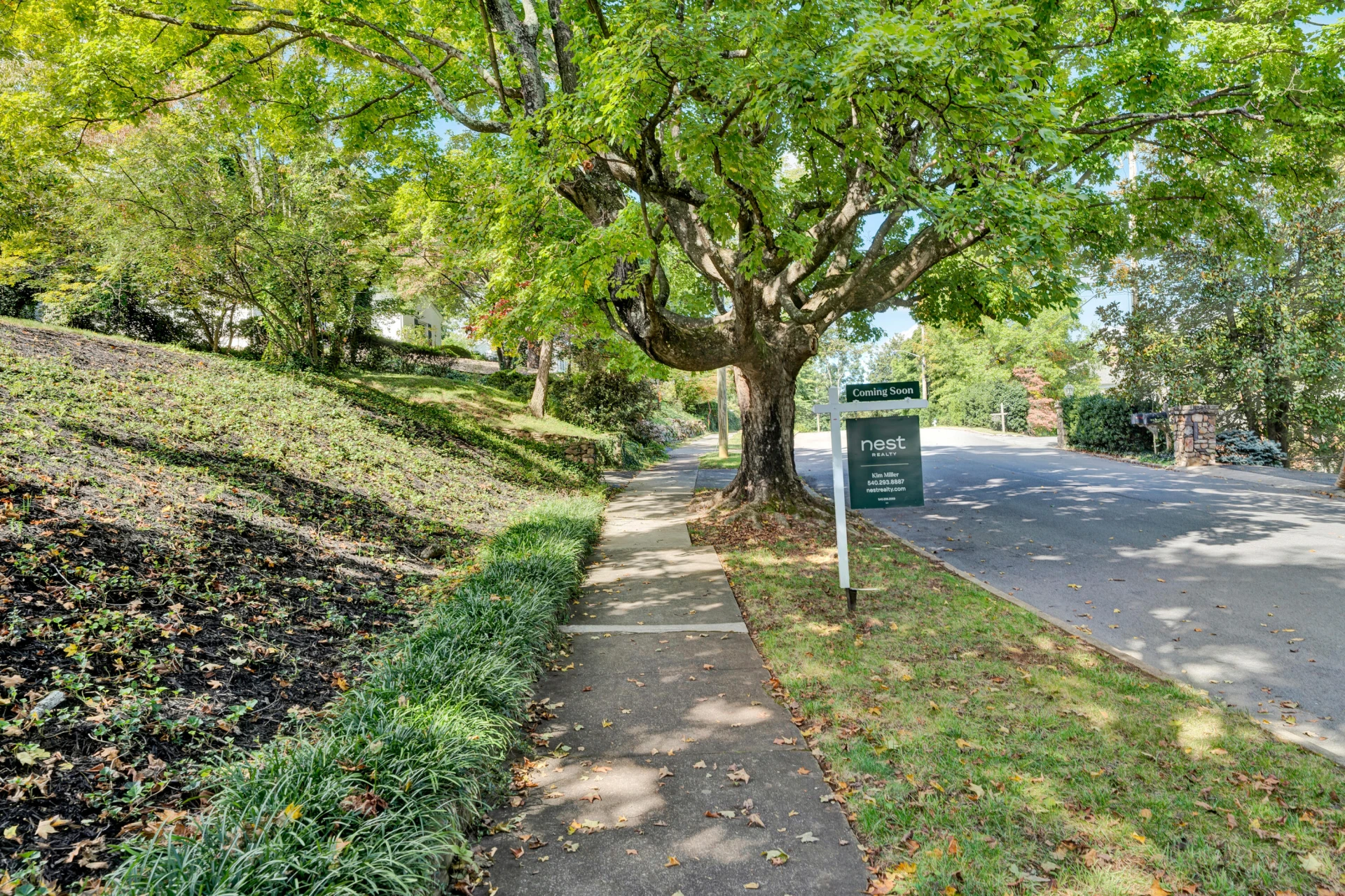 3203 Brightwood PL SW - Photo 4