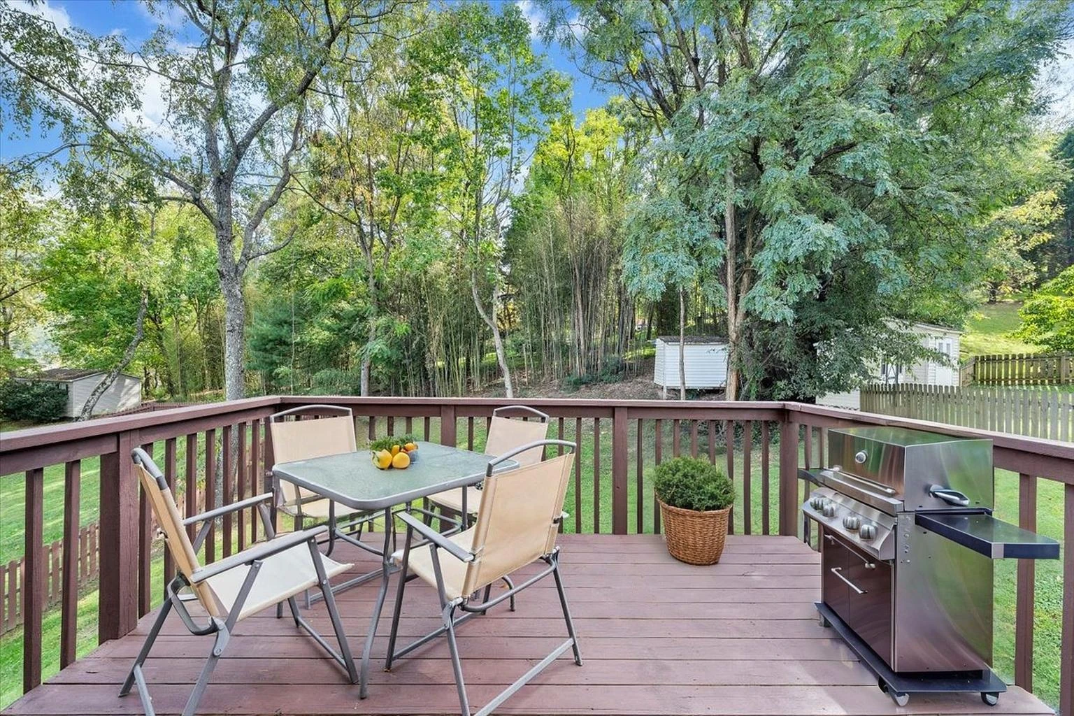 3523 Apricot TRL - Photo 50