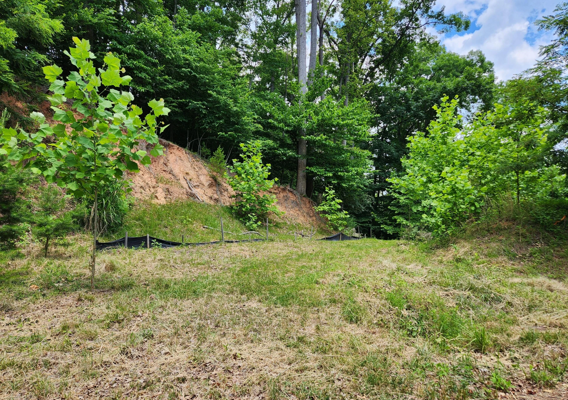 64 Lakewatch CIR - Photo 5