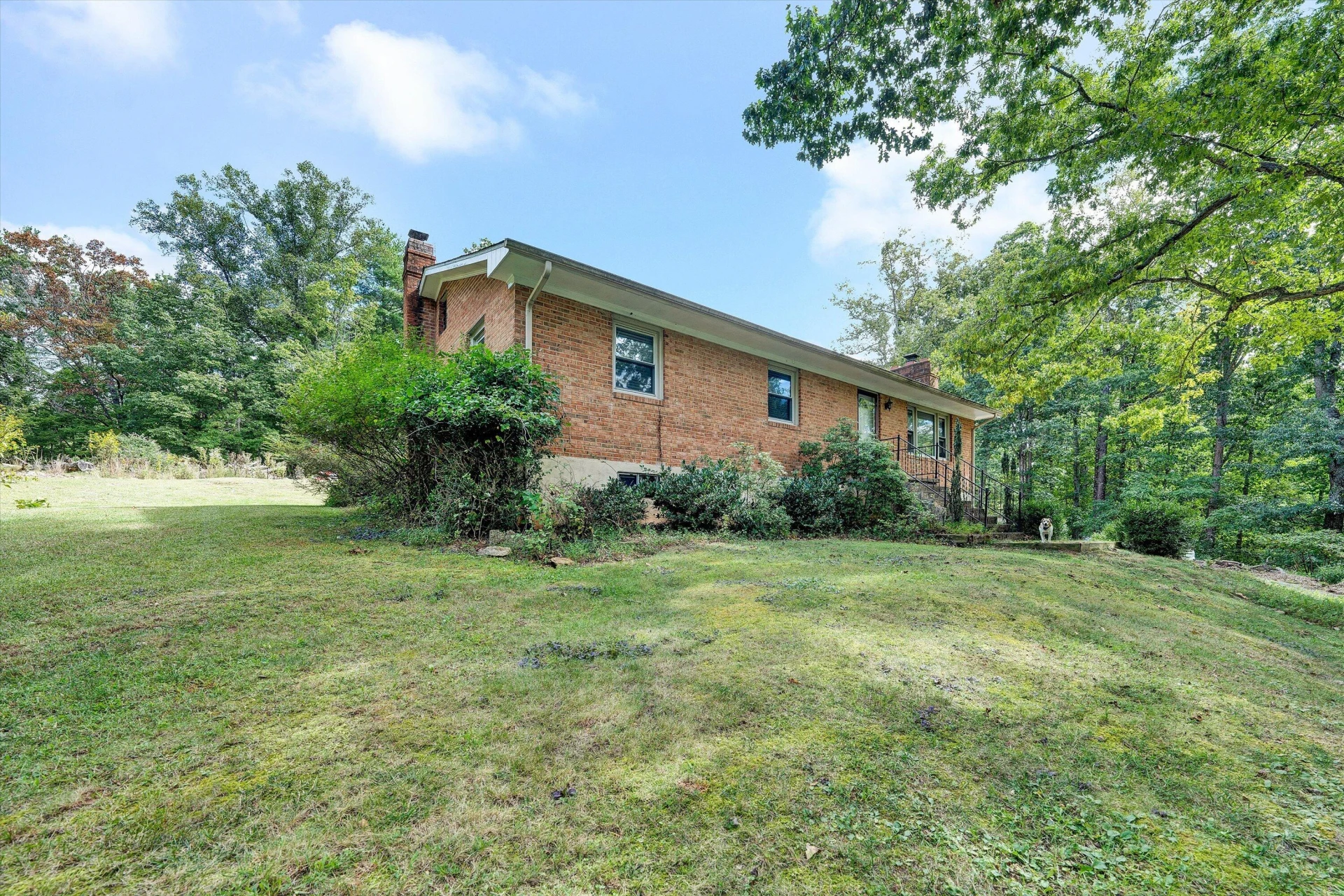 6804 Cotton Hill RD - Photo 52