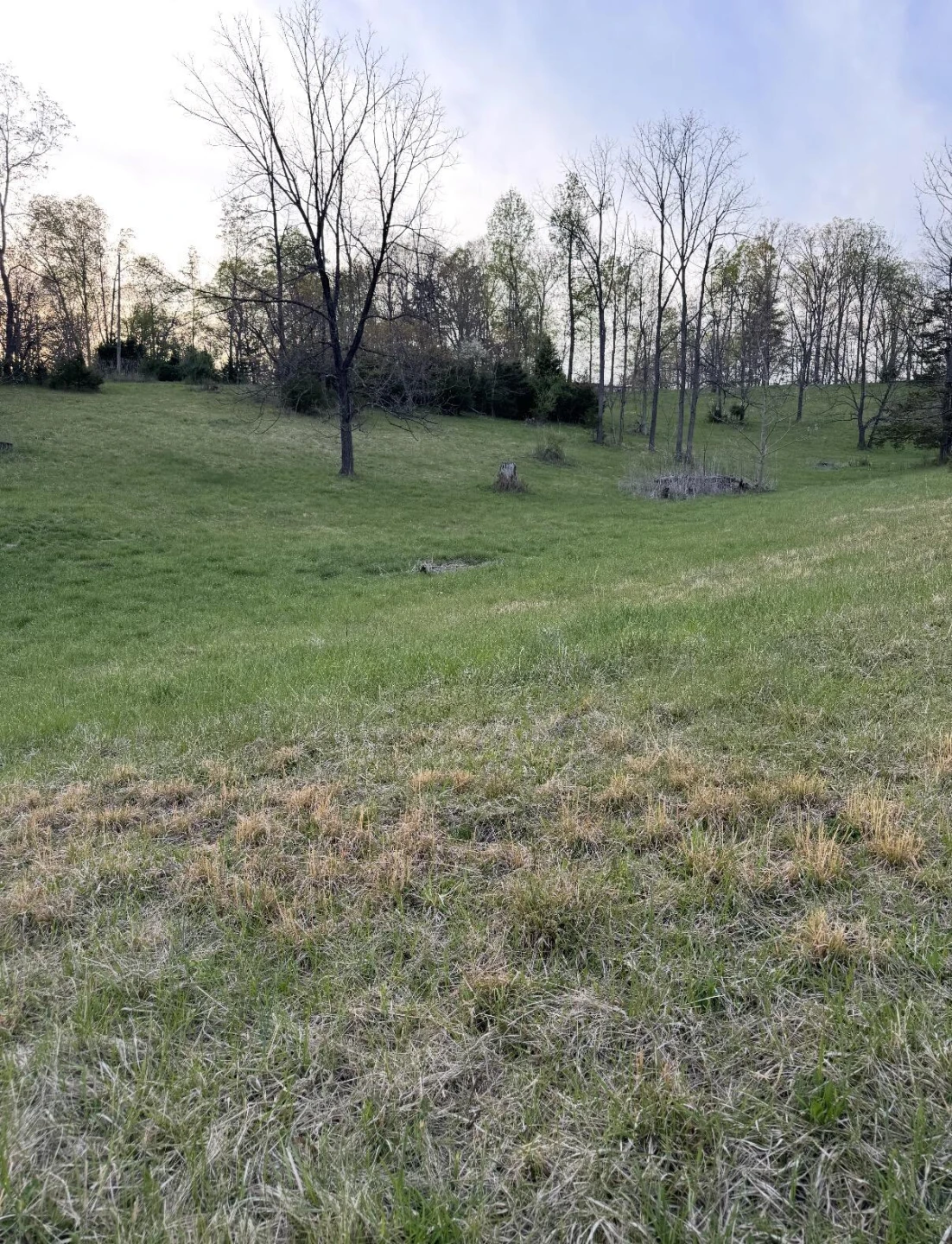 0 Tharp Creek RD - Photo 2