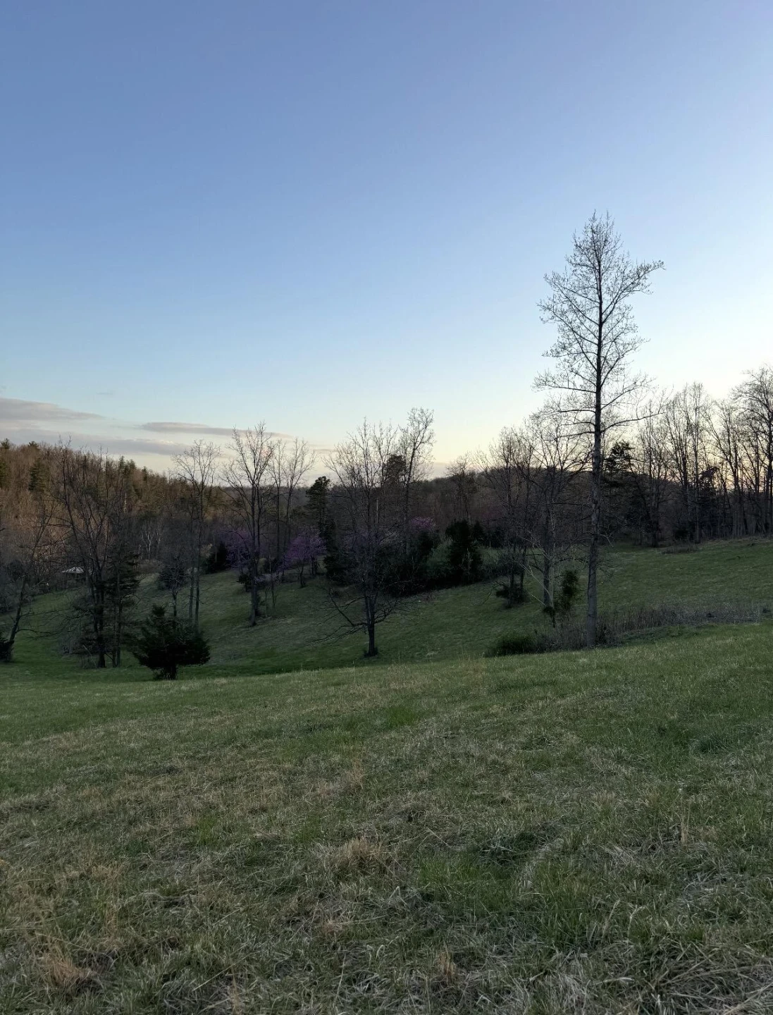 0 Tharp Creek RD - Photo 6