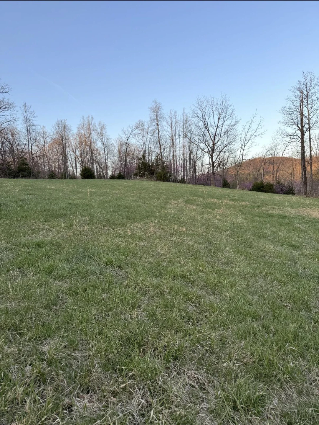 0 Tharp Creek RD - Photo 7