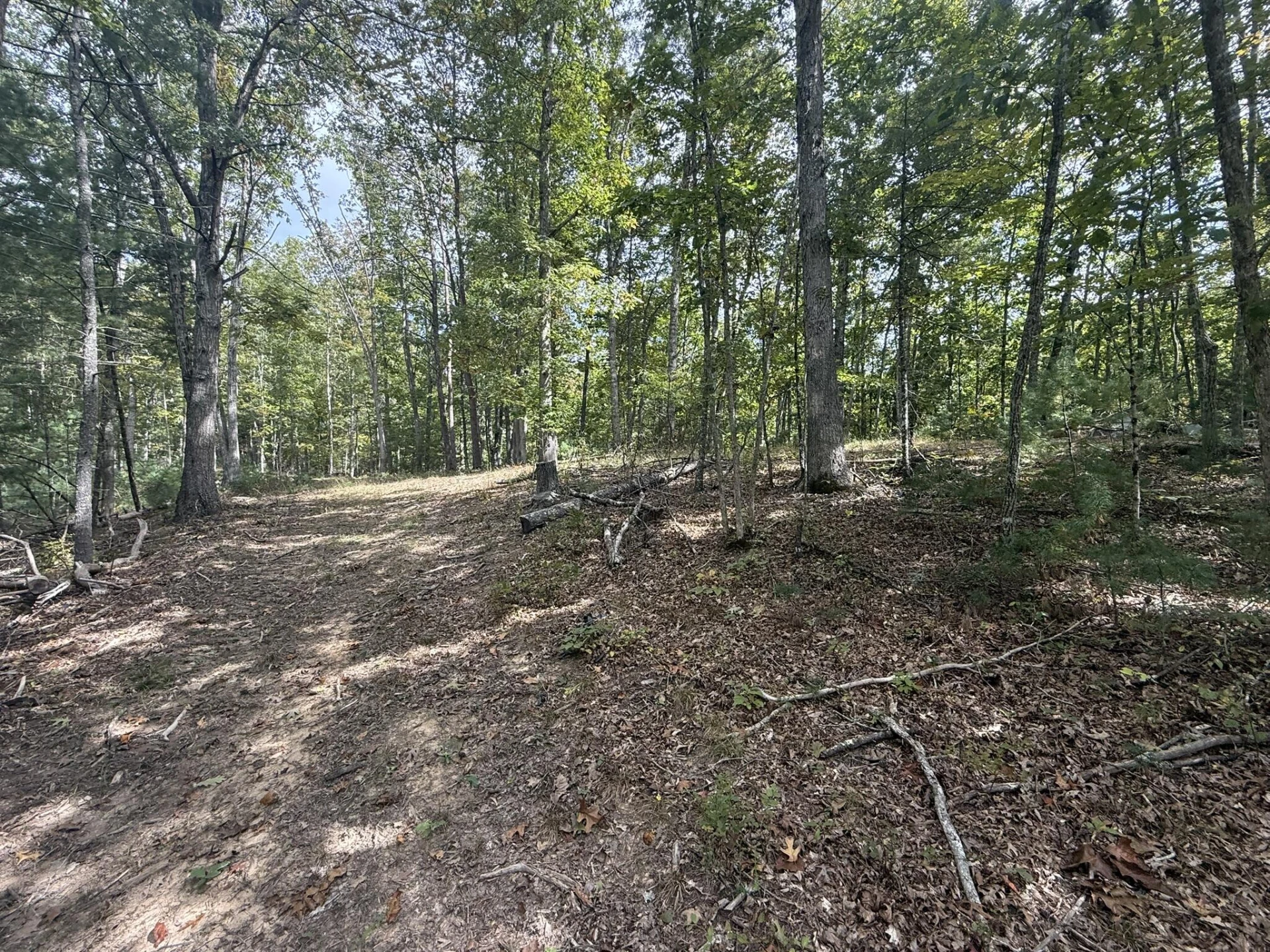 5423 Indian Draft RD - Photo 16
