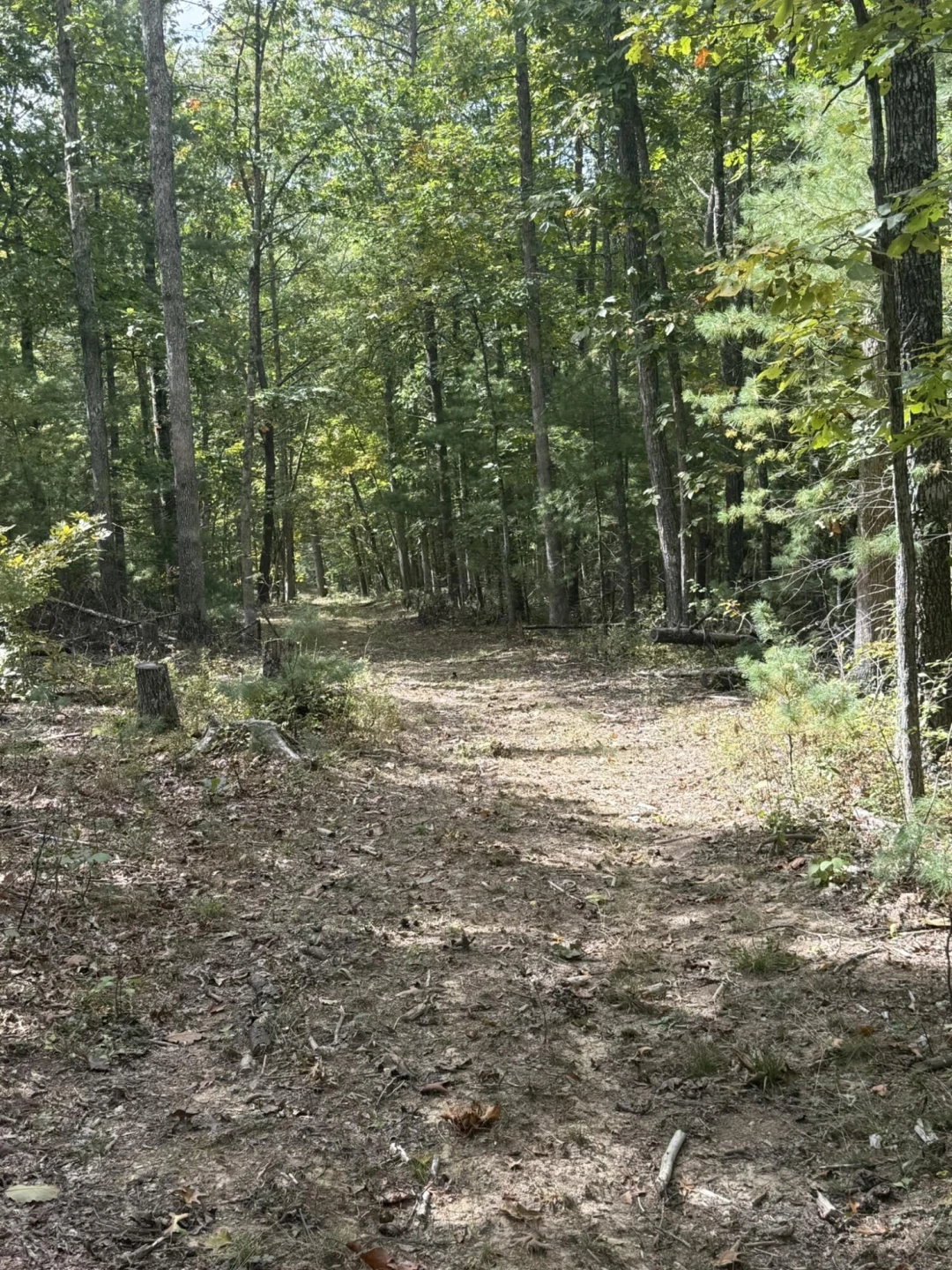 5423 Indian Draft RD - Photo 17