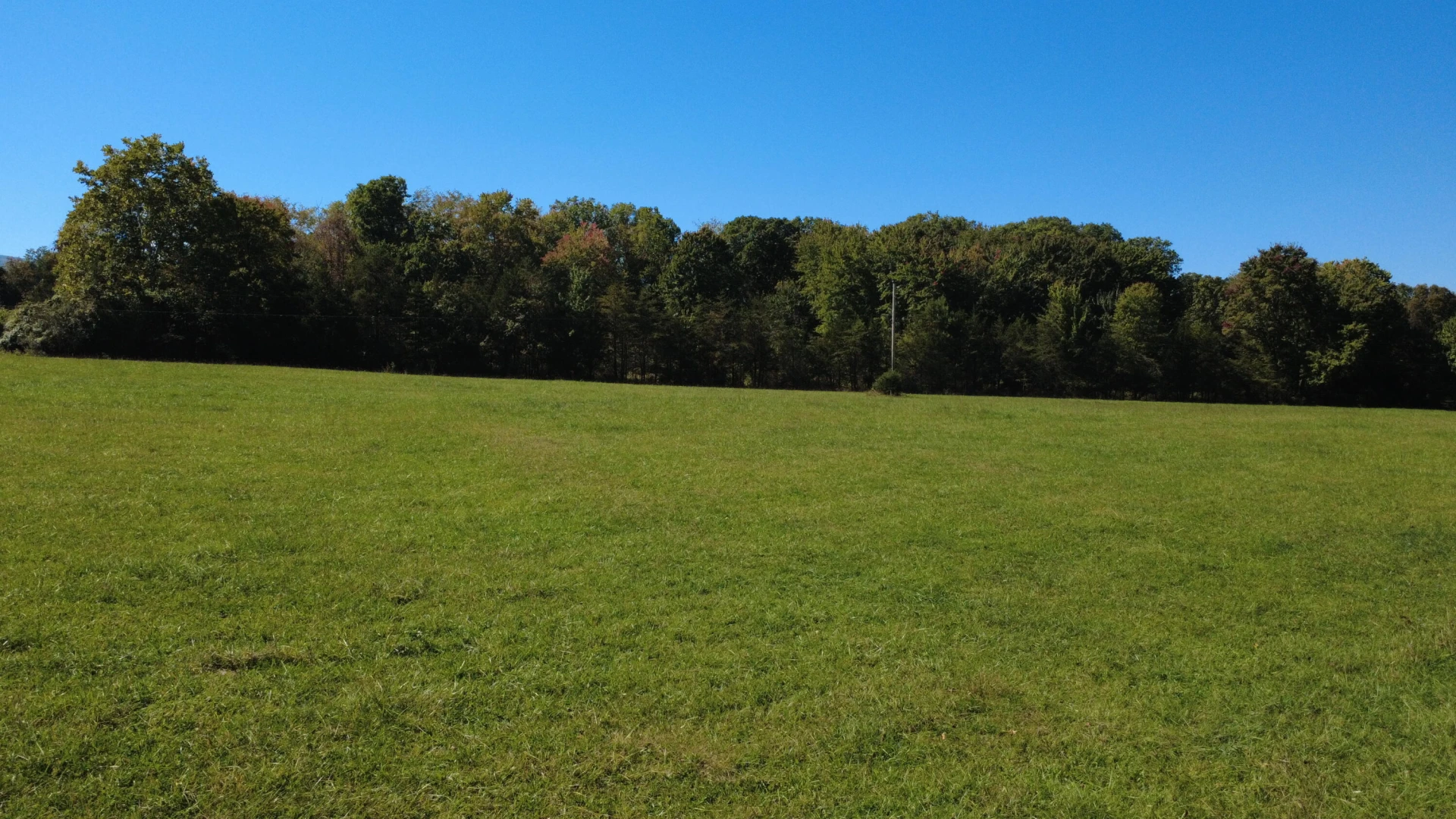 6305 Bens Run RD - Photo 7