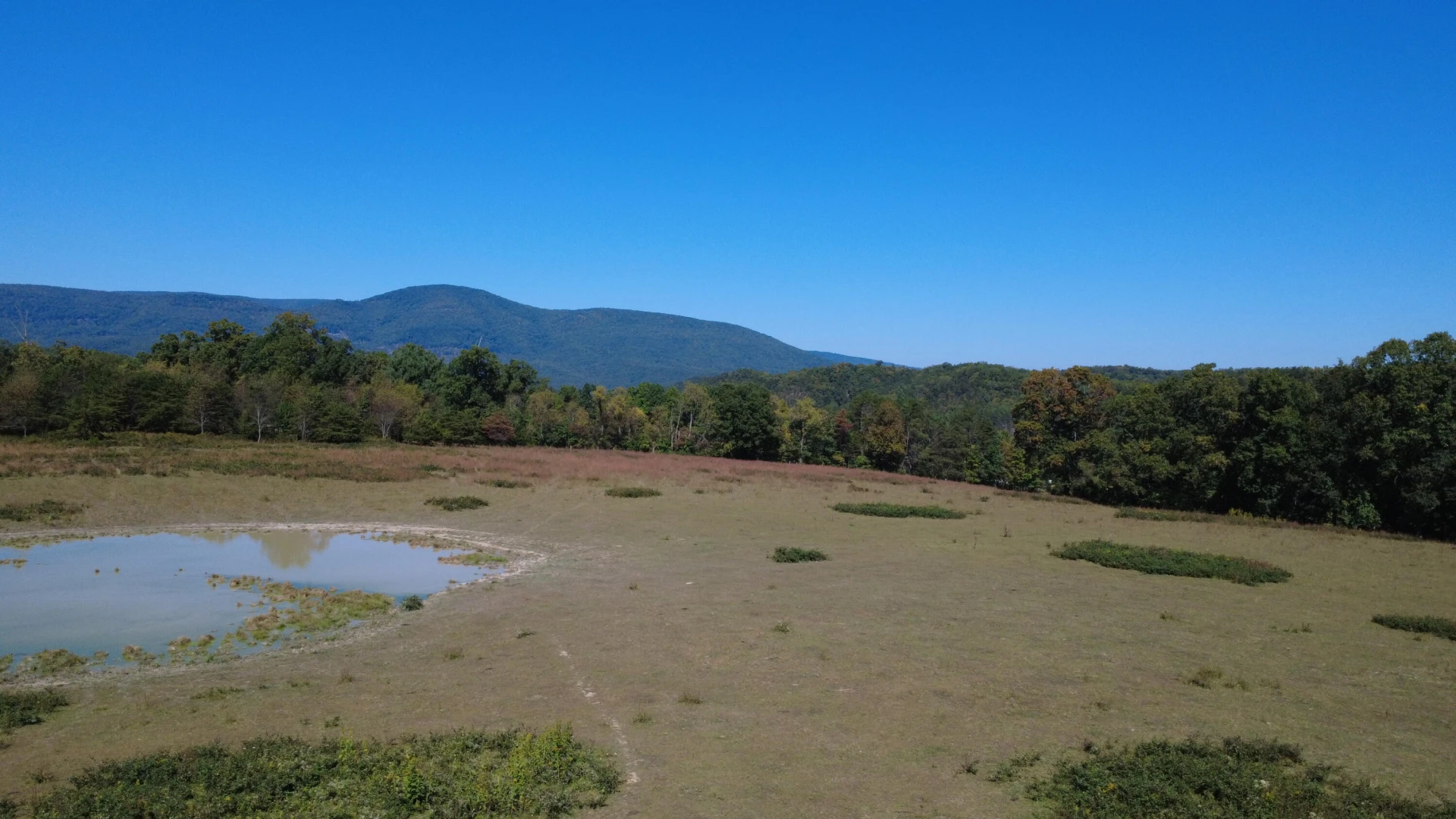 6305 Bens Run RD - Photo 10