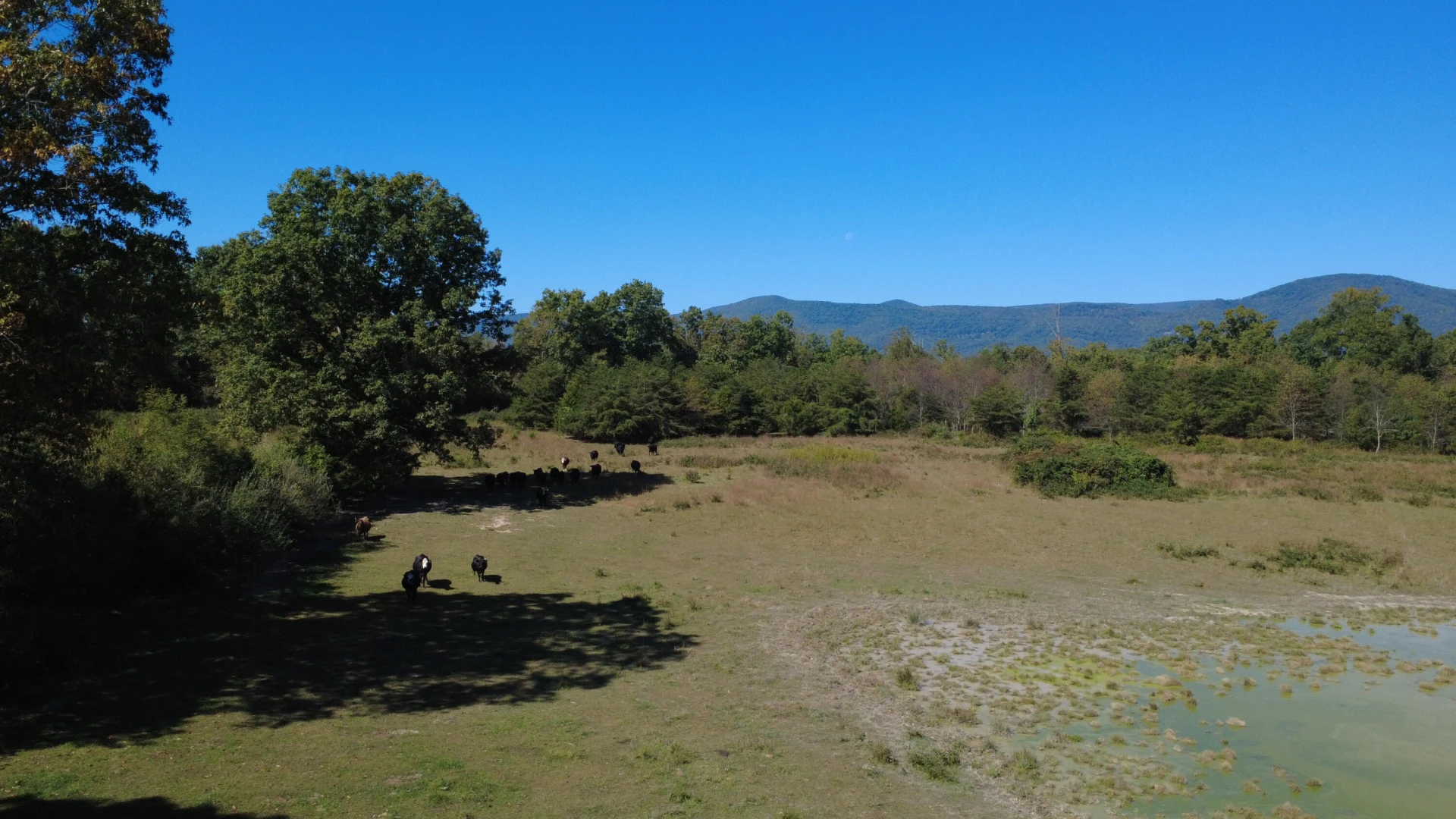 6305 Bens Run RD - Photo 11