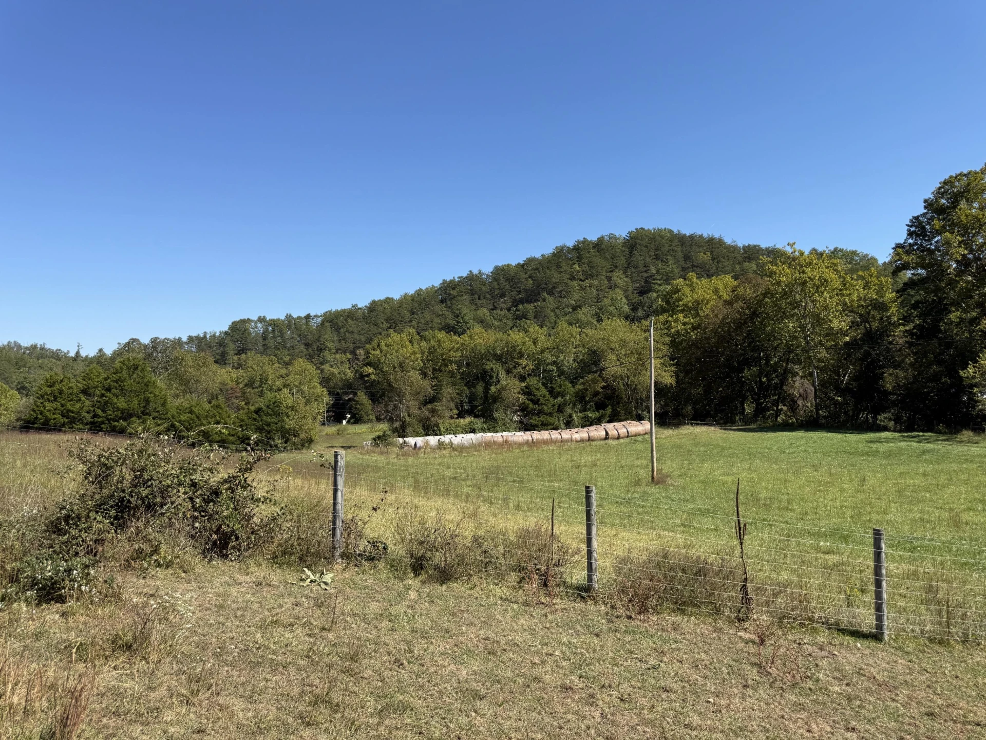 6305 Bens Run RD - Photo 23