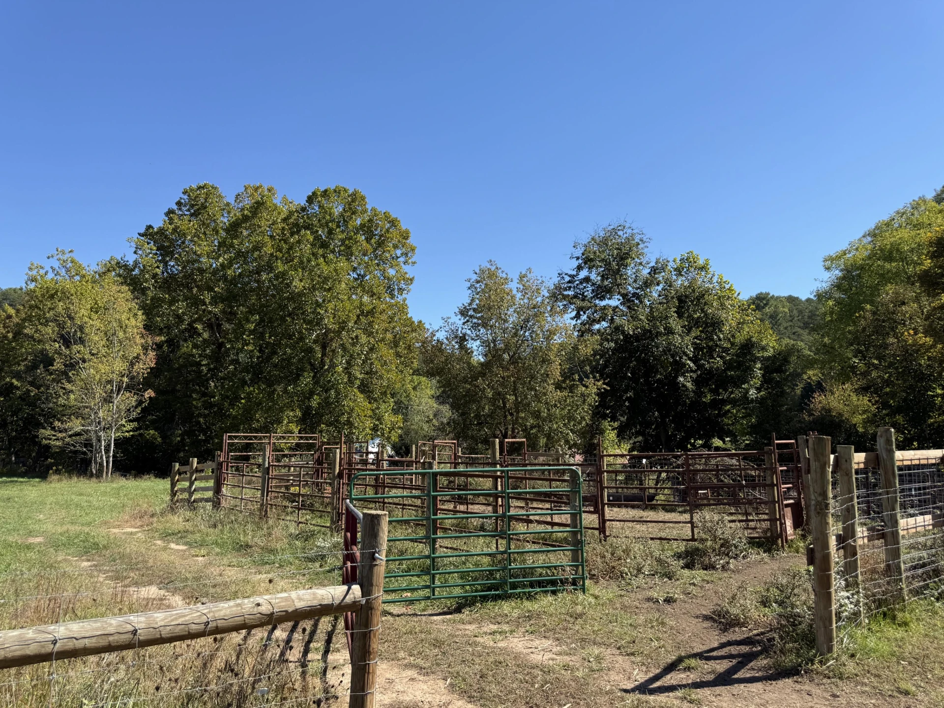 6305 Bens Run RD - Photo 24