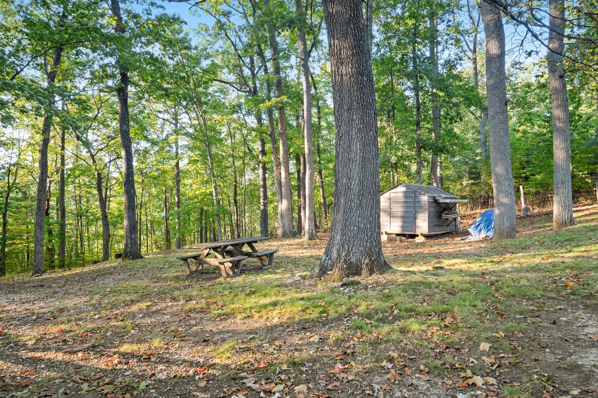 7601 Bending Oak DR - Photo 7