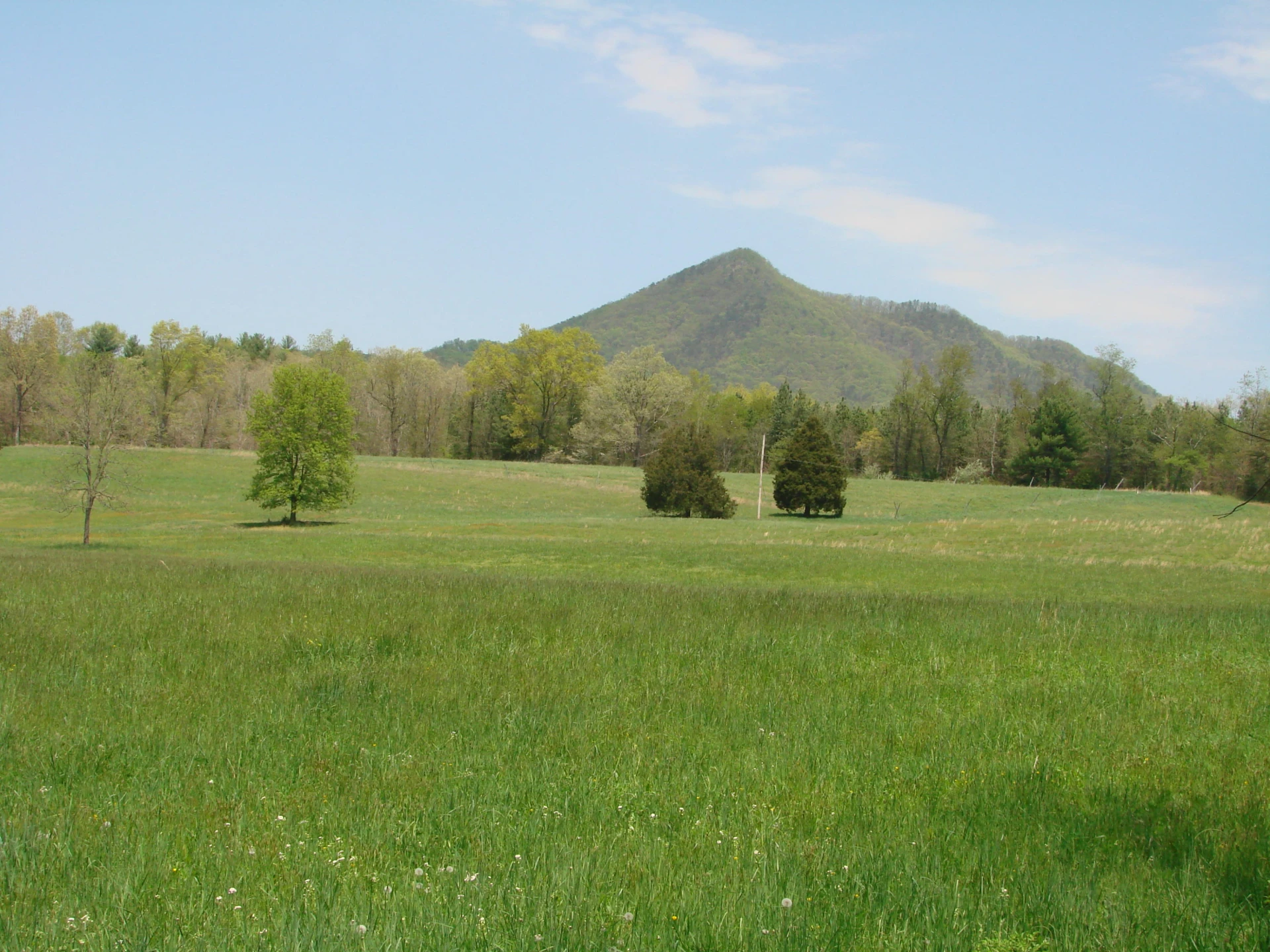 5005 Forty Two RD - Photo 3