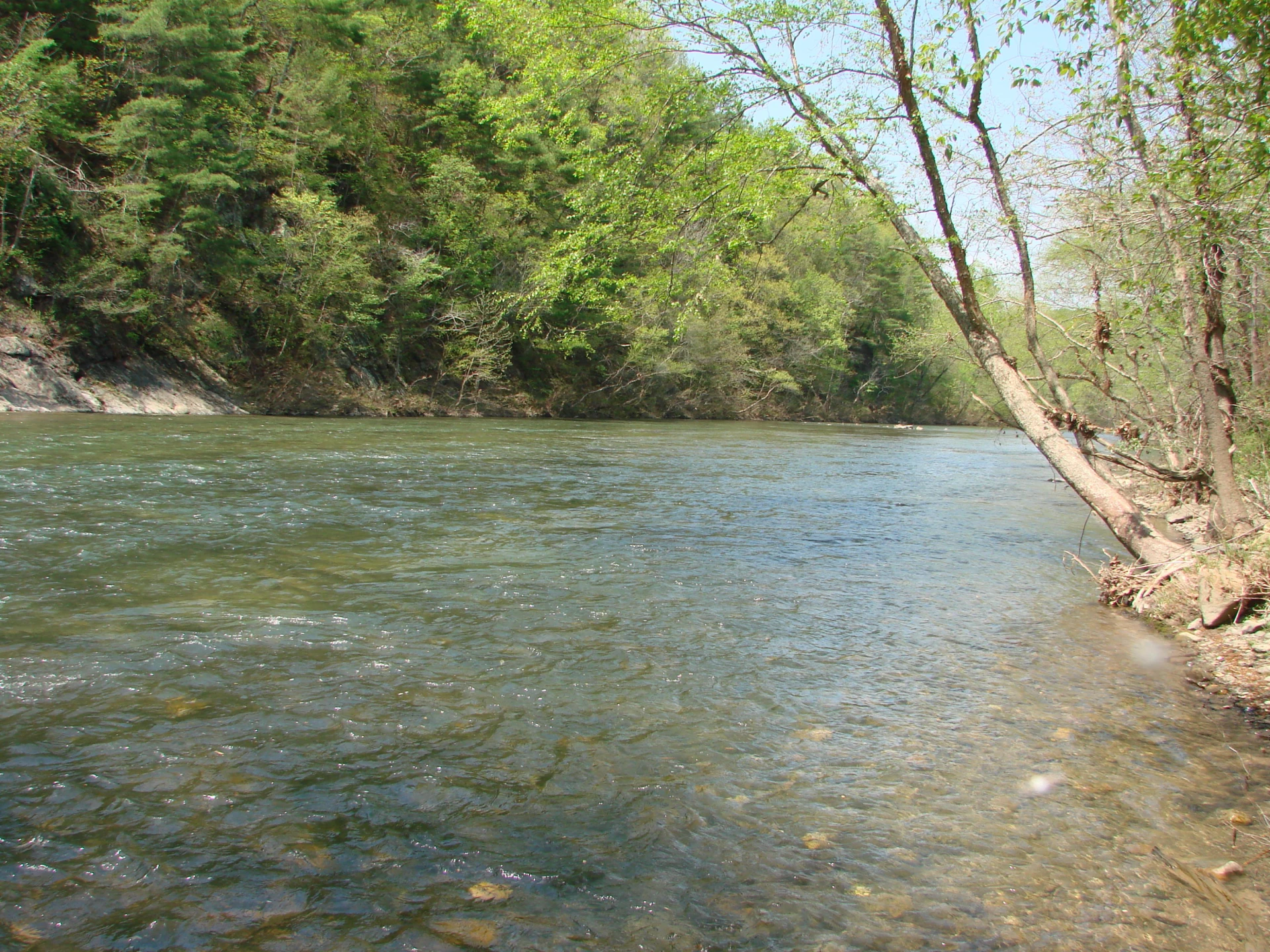 5005 Forty Two RD - Photo 6